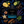 Nocturno Elixir