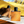 Corium