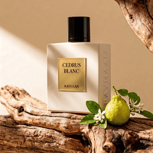 Cedrus Blanc
