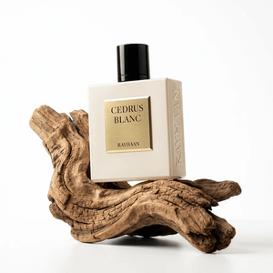 Cedrus Blanc