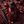 Opio Noir Red Dose