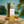 Tahiti Colada