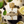 Aromatix Platine Blanc