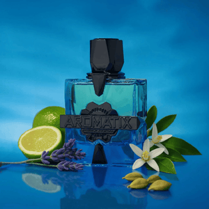 Aromatix Magnetiq